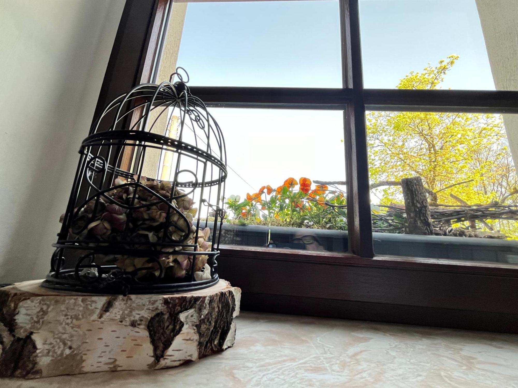 Landgasthof & Hotel Waldeck Treuen 外观 照片